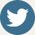 Announcement Icon